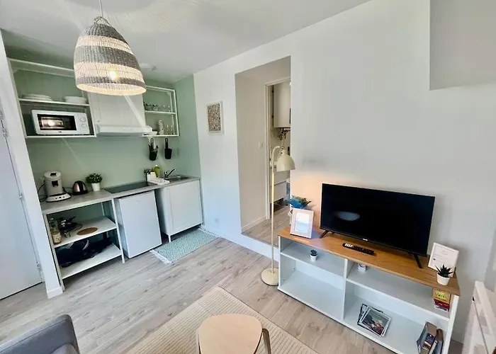 Menthe à L'eau - Avec Extérieur - Futuroscope 20min * Châtellerault